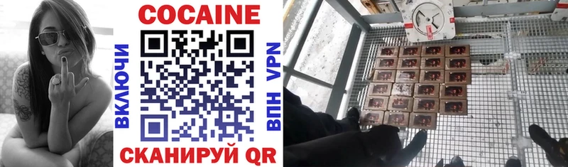 Купить закладки  Белокуриха  COCAIN VHQ 