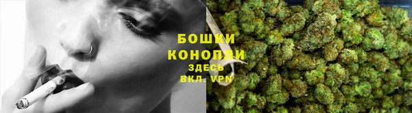 тгк Инта