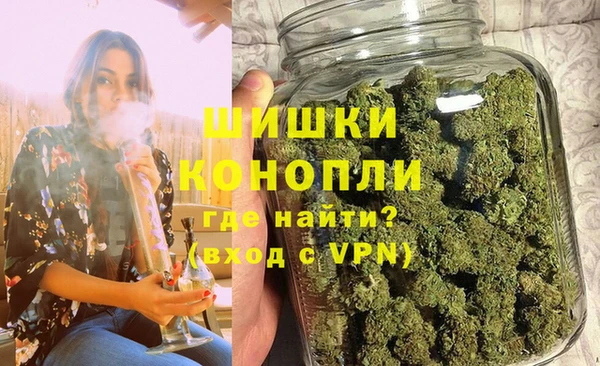тгк Инта