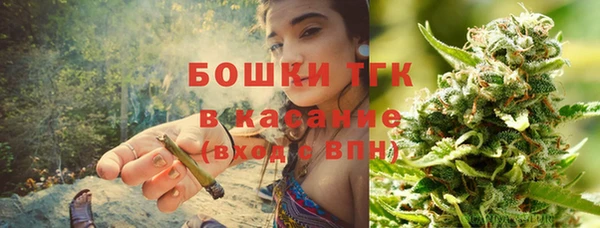тгк Инта