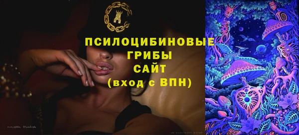 тгк Инта